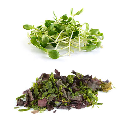 Cucina Vegana: germogli e alghe, una gamma di sapori unici